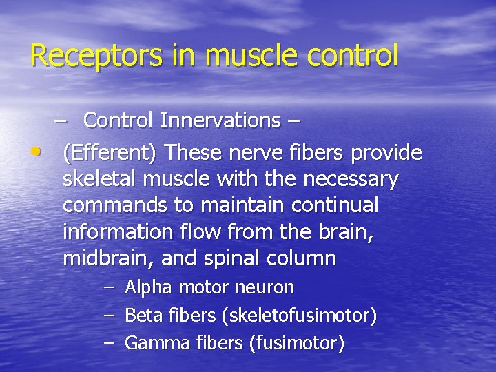 Receptors in muscle control – Control Innervations – • (Efferent) These nerve fibers provide