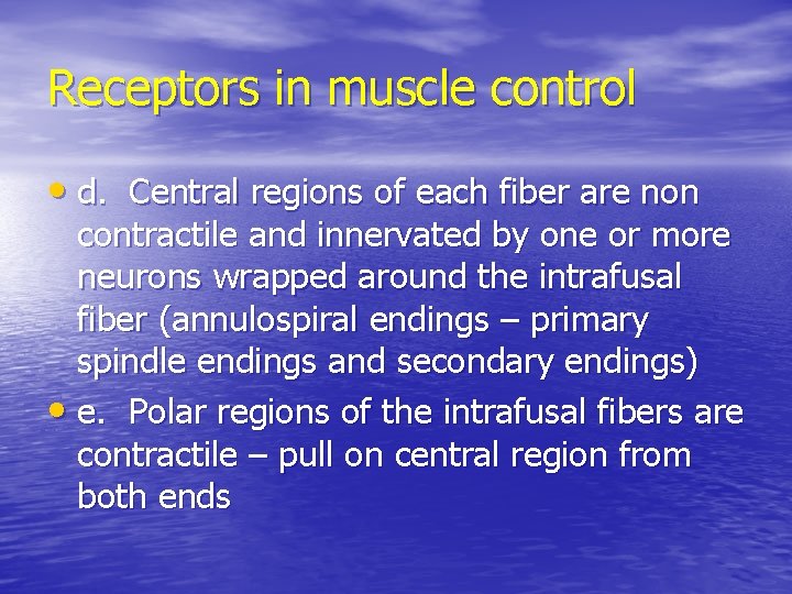 Receptors in muscle control • d. Central regions of each fiber are non contractile