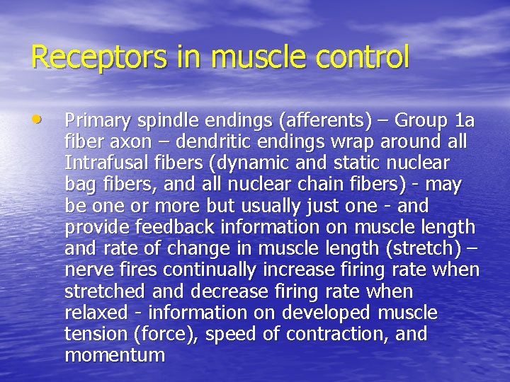 Receptors in muscle control • Primary spindle endings (afferents) – Group 1 a fiber