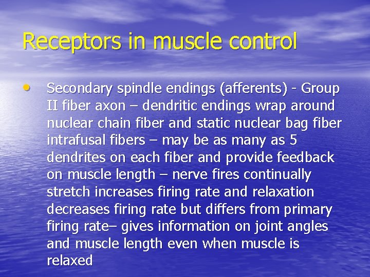 Receptors in muscle control • Secondary spindle endings (afferents) - Group II fiber axon