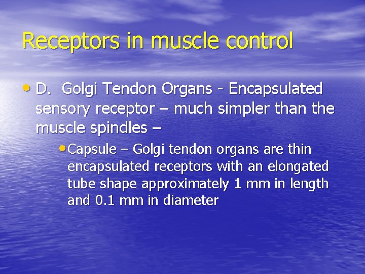 Receptors in muscle control • D. Golgi Tendon Organs - Encapsulated sensory receptor –