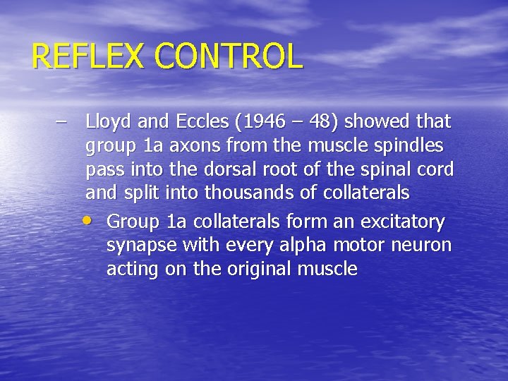 REFLEX CONTROL – Lloyd and Eccles (1946 – 48) showed that group 1 a