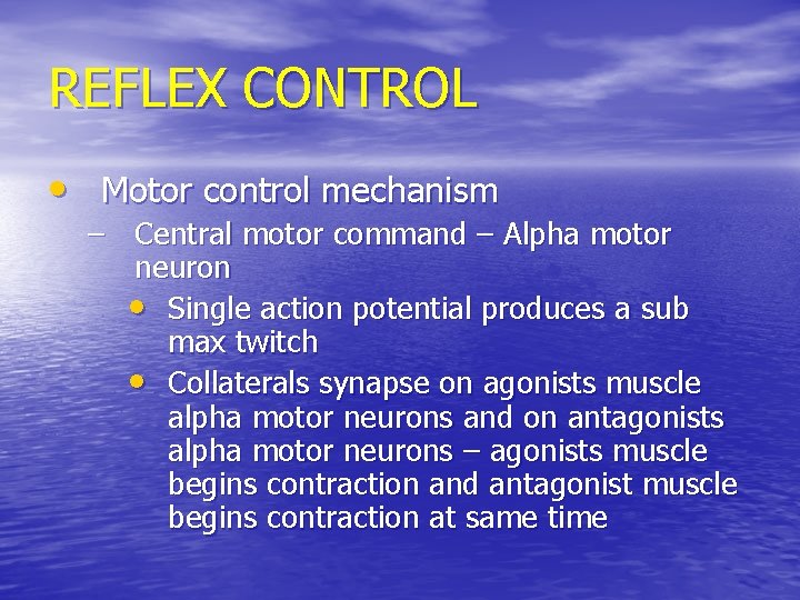 REFLEX CONTROL • Motor control mechanism – Central motor command – Alpha motor neuron