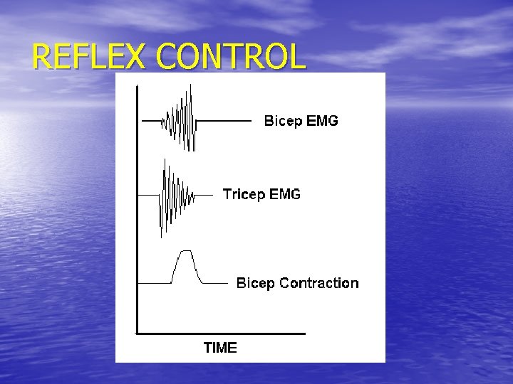 REFLEX CONTROL 