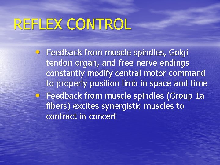 REFLEX CONTROL • Feedback from muscle spindles, Golgi • tendon organ, and free nerve