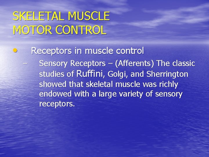 SKELETAL MUSCLE MOTOR CONTROL • Receptors in muscle control – Sensory Receptors – (Afferents)