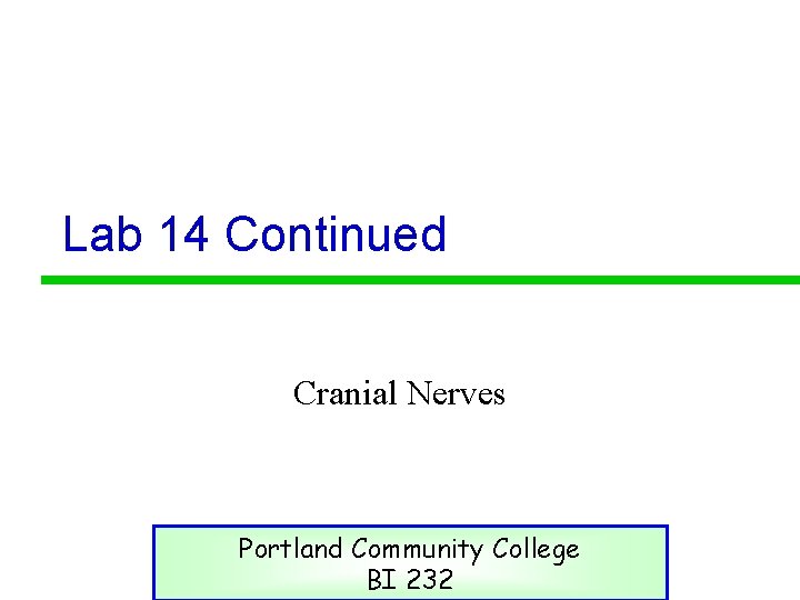 Lab 14 Continued Cranial Nerves Portland Community College BI 232 