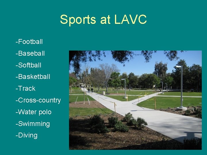 Sports at LAVC -Football -Baseball -Softball -Basketball -Track -Cross-country -Water polo -Swimming -Diving 