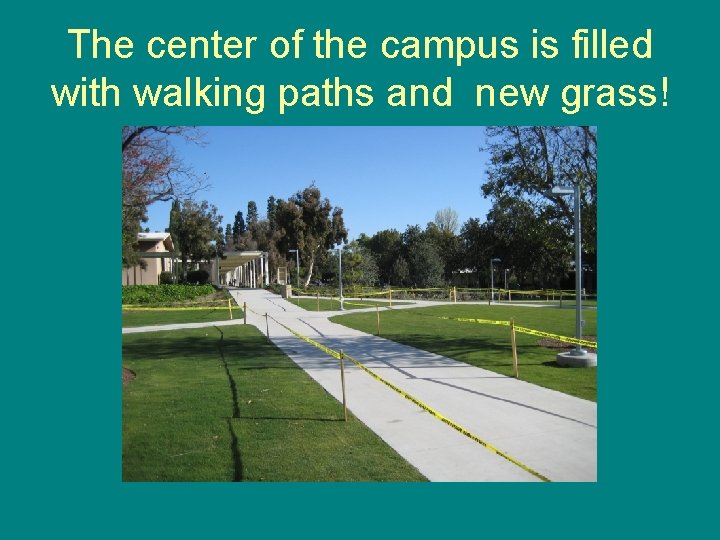 The center of the campus is filled with walking paths and new grass! 