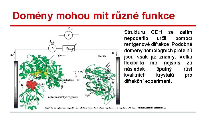 Domény mohou mít různé funkce Strukturu CDH se zatím nepodařilo určit pomocí rentgenové difrakce.