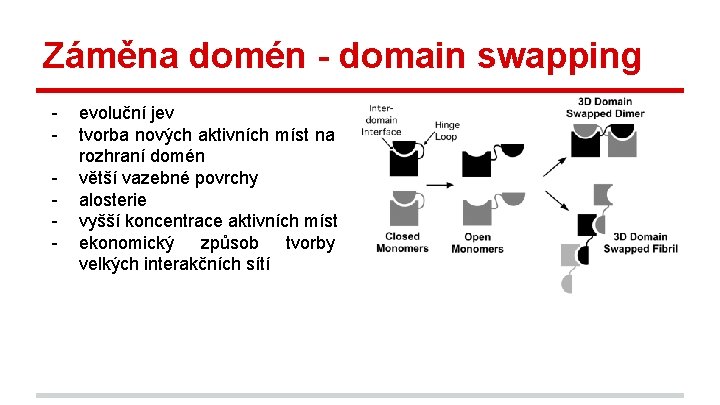 Záměna domén - domain swapping - evoluční jev tvorba nových aktivních míst na rozhraní