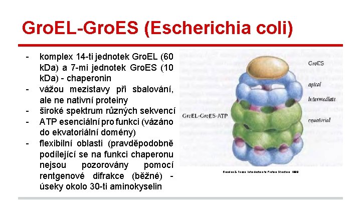 Gro. EL-Gro. ES (Escherichia coli) - komplex 14 -ti jednotek Gro. EL (60 k.