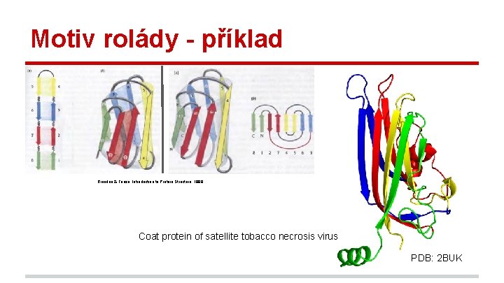 Motiv rolády - příklad Branden & Tooze, Introduction to Protein Structure, 1999. Coat protein