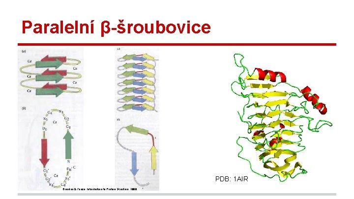 Paralelní β-šroubovice PDB: 1 AIR Branden & Tooze, Introduction to Protein Structure, 1999. 