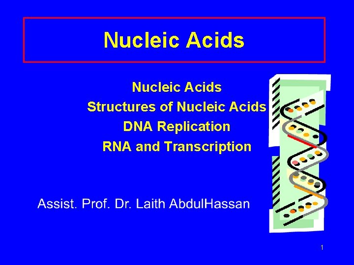 Nucleic Acids Structures of Nucleic Acids DNA Replication RNA and Transcription 1 