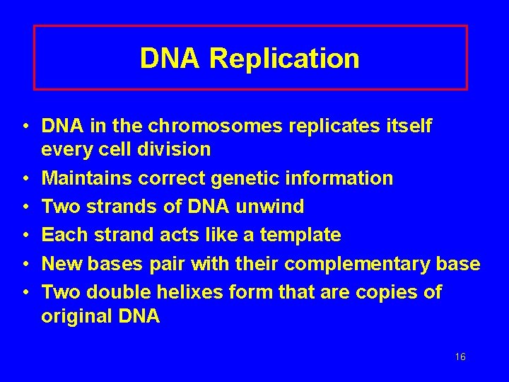 DNA Replication • DNA in the chromosomes replicates itself every cell division • Maintains