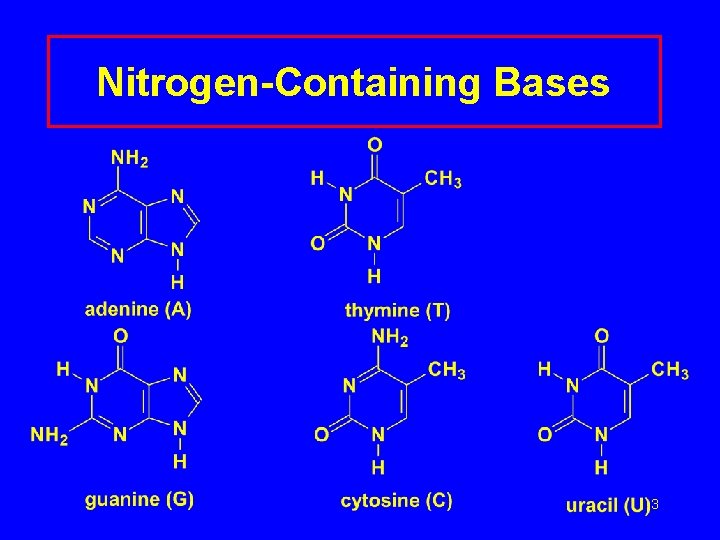 Nitrogen-Containing Bases 3 