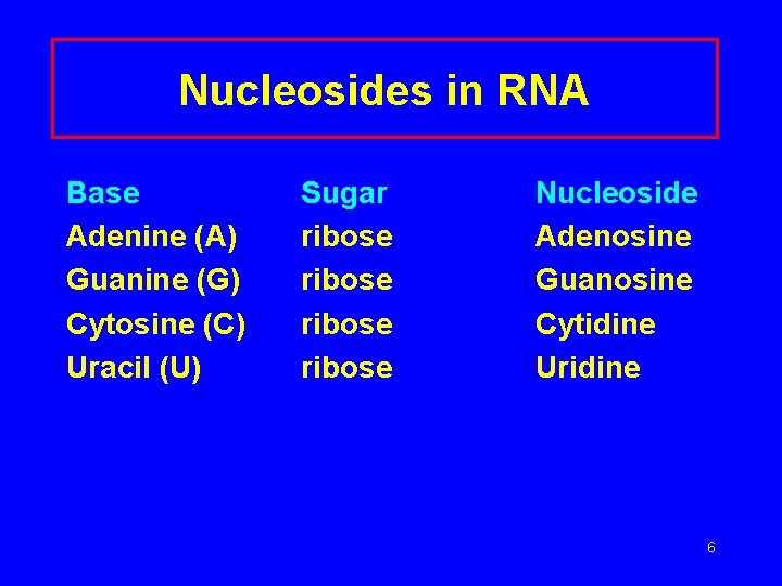 Nucleosides in RNA Base Adenine (A) Guanine (G) Cytosine (C) Uracil (U) Sugar ribose
