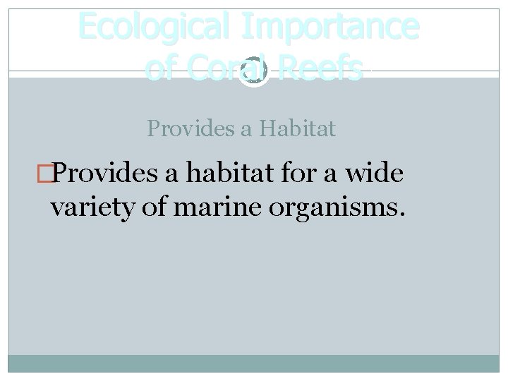 Ecological Importance of Coral Reefs Provides a Habitat �Provides a habitat for a wide