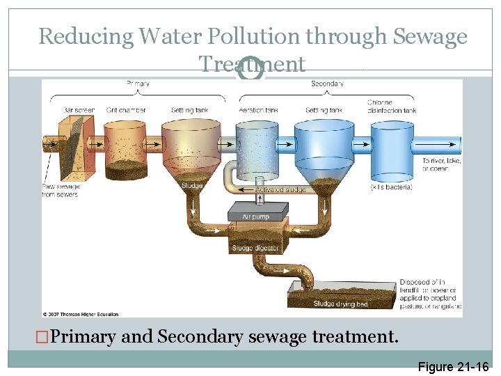 Reducing Water Pollution through Sewage Treatment �Primary and Secondary sewage treatment. Figure 21 -16