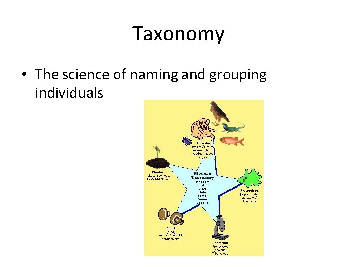 Taxonomy • The science of naming and grouping individuals Taxonomy • The science of naming and grouping individuals
