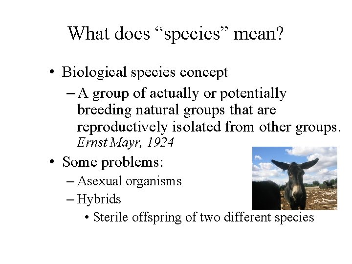 What does “species” mean? • Biological species concept – A group of actually or