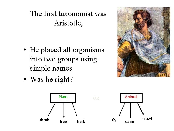 The first taxonomist was Aristotle, • He placed all organisms into two groups using