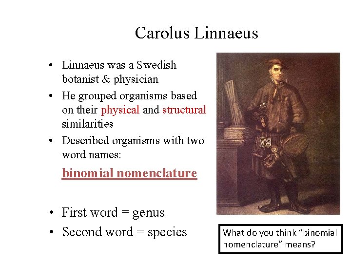 Carolus Linnaeus • Linnaeus was a Swedish botanist & physician • He grouped organisms