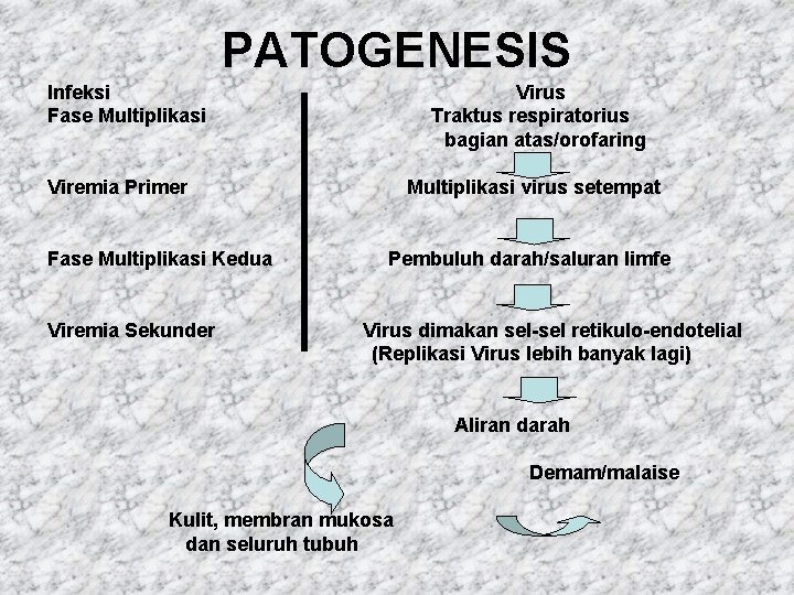 PATOGENESIS Infeksi Fase Multiplikasi Virus Traktus respiratorius bagian atas/orofaring Viremia Primer Fase Multiplikasi Kedua