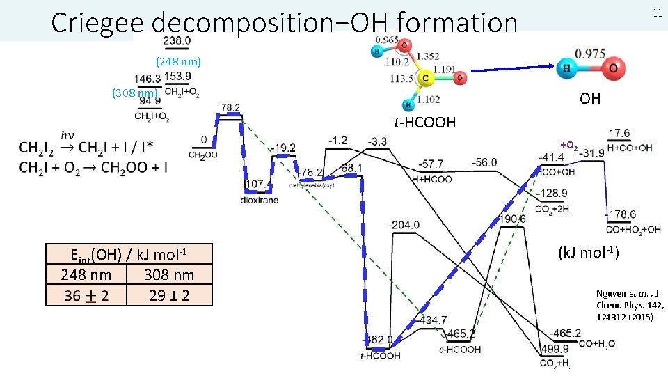 Criegee decomposition−OH formation 11 (248 nm) (308 nm) OH t-HCOOH +O 2 Eint(OH) /