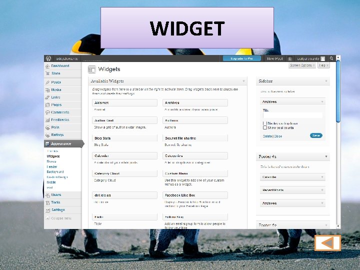WIDGET 