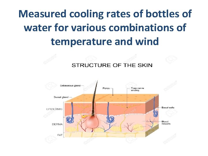 Measured cooling rates of bottles of water for various combinations of temperature and wind