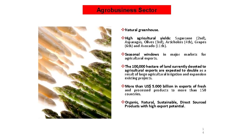 Agrobusiness Sector v. Natural greenhouse. v. High agricultural yields: Sugarcane (2 nd), Asparagus, Olives