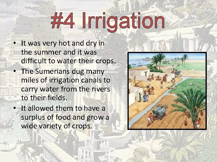 #4 Irrigation • It was very hot and dry in the summer and it