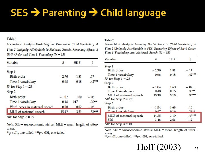 SES Parenting Child language Hoff (2003) 25 