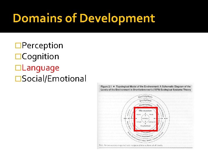 Domains of Development �Perception �Cognition �Language �Social/Emotional 