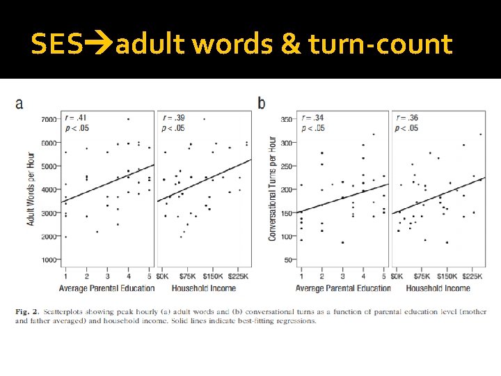 SES adult words & turn-count 