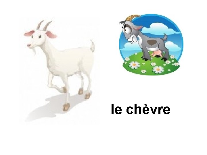 le chèvre 