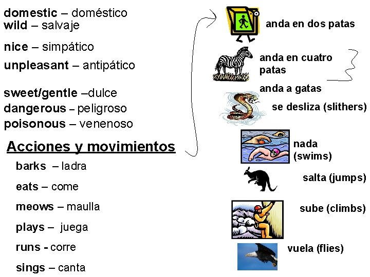 domestic – doméstico wild – salvaje nice – simpático unpleasant – antipático sweet/gentle –dulce