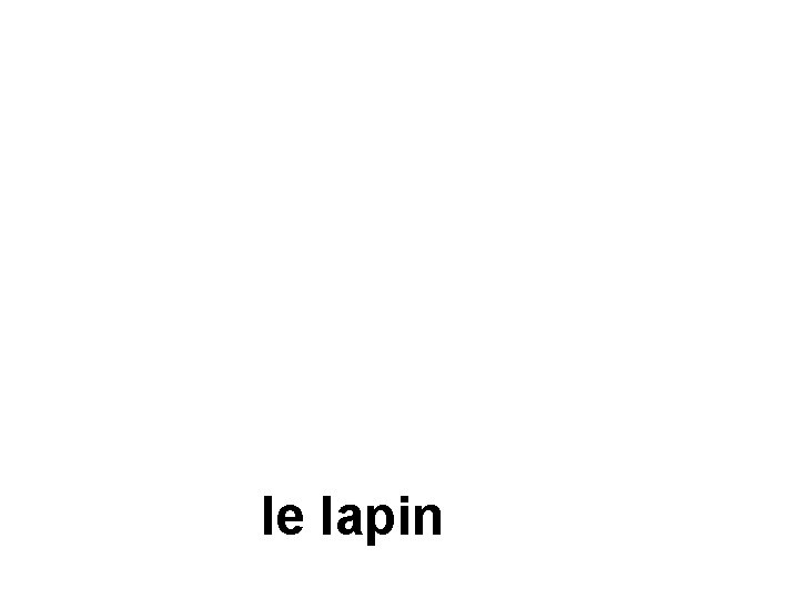 le lapin 