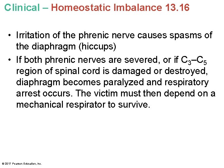 Clinical – Homeostatic Imbalance 13. 16 • Irritation of the phrenic nerve causes spasms