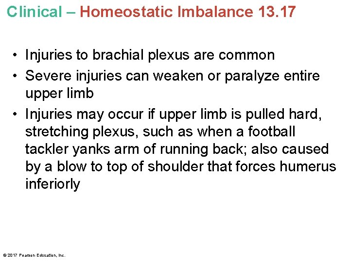 Clinical – Homeostatic Imbalance 13. 17 • Injuries to brachial plexus are common •