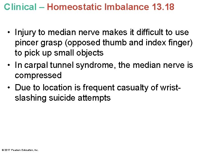 Clinical – Homeostatic Imbalance 13. 18 • Injury to median nerve makes it difficult