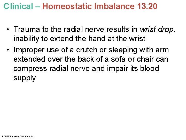 Clinical – Homeostatic Imbalance 13. 20 • Trauma to the radial nerve results in