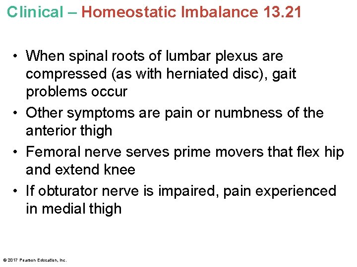 Clinical – Homeostatic Imbalance 13. 21 • When spinal roots of lumbar plexus are