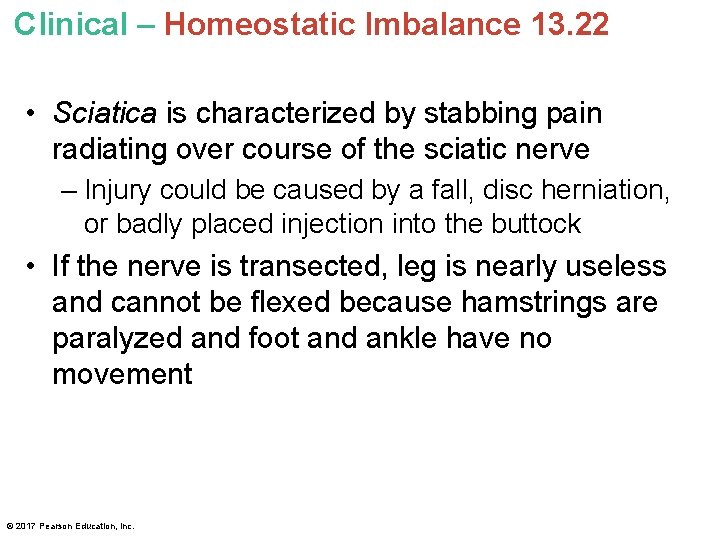 Clinical – Homeostatic Imbalance 13. 22 • Sciatica is characterized by stabbing pain radiating