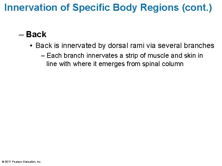 Innervation of Specific Body Regions (cont. ) – Back • Back is innervated by