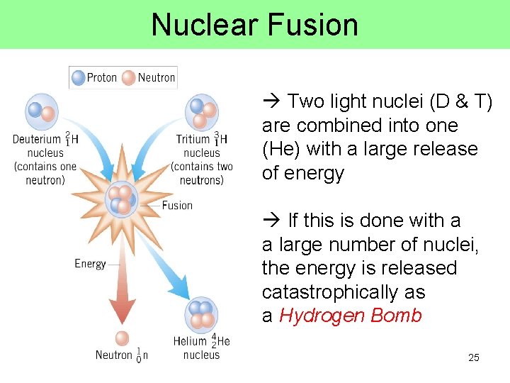 Nuclear Fusion Two light nuclei (D & T) are combined into one (He) with