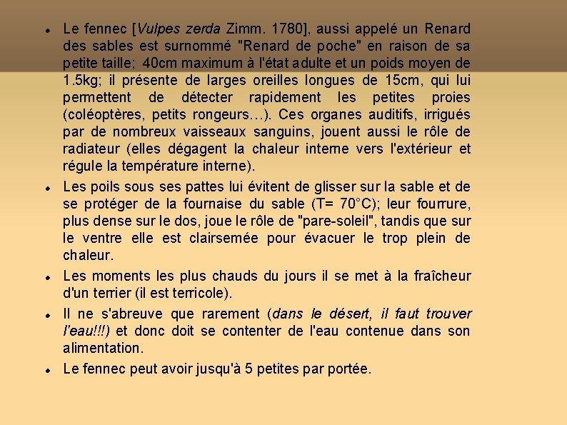  Le fennec [Vulpes zerda Zimm. 1780], aussi appelé un Renard des sables est