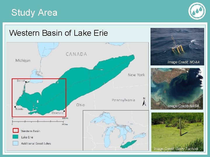 Study Area Western Basin of Lake Erie Image Credit: NOAA Image Credit: NASA Image